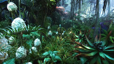 More of these plants should have been Na'vi eating.