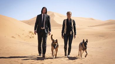 John Wick, Halle Berry, and Halle Berry's dogs.