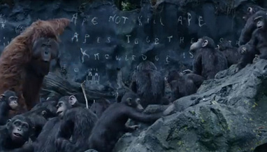 The state of ape education is puts them well ahead of the United States.